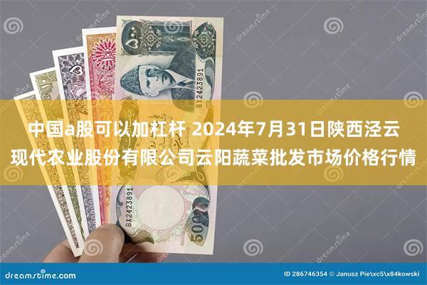 中国a股可以加杠杆 2024年7月31日陕西泾云现代农业股份有限公司云阳蔬菜批发市场价格行情