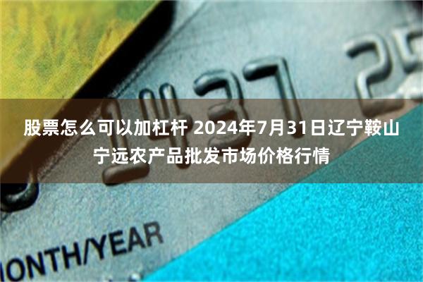 股票怎么可以加杠杆 2024年7月31日辽宁鞍山宁远农产品批发市场价格行情