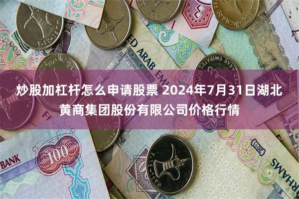 炒股加杠杆怎么申请股票 2024年7月31日湖北黄商集团股份有限公司价格行情