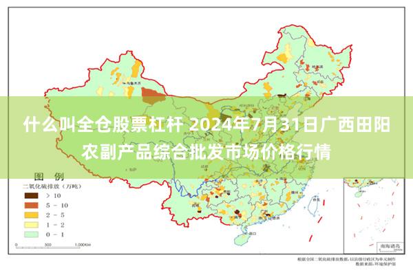 什么叫全仓股票杠杆 2024年7月31日广西田阳农副产品综合批发市场价格行情