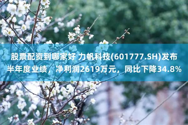 股票配资到哪家好 力帆科技(601777.SH)发布半年度业绩，净利润2619万元，同比下降34.8%