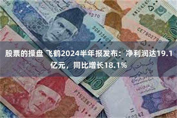 股票的操盘 飞鹤2024半年报发布：净利润达19.1亿元，同比增长18.1%