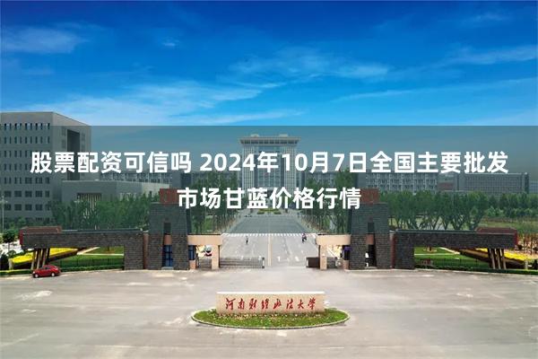 股票配资可信吗 2024年10月7日全国主要批发市场甘蓝价格行情