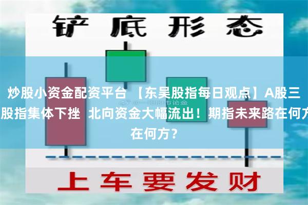 炒股小资金配资平台 【东吴股指每日观点】A股三大股指集体下挫  北向资金大幅流出！期指未来路在何方？