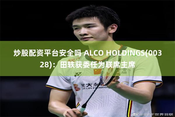 炒股配资平台安全吗 ALCO HOLDINGS(00328)：田轶获委任为联席主席