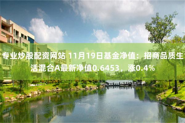 专业炒股配资网站 11月19日基金净值：招商品质生活混合A最新净值0.6453，涨0.4%