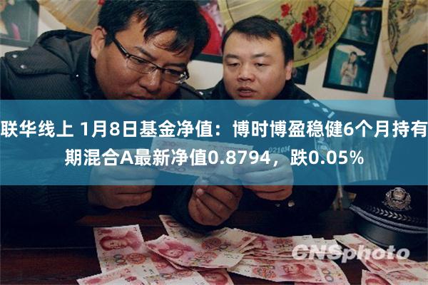 联华线上 1月8日基金净值：博时博盈稳健6个月持有期混合A最新净值0.8794，跌0.05%