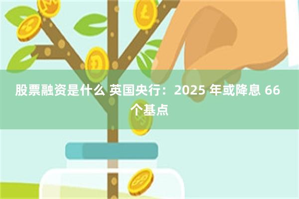 股票融资是什么 英国央行：2025 年或降息 66 个基点